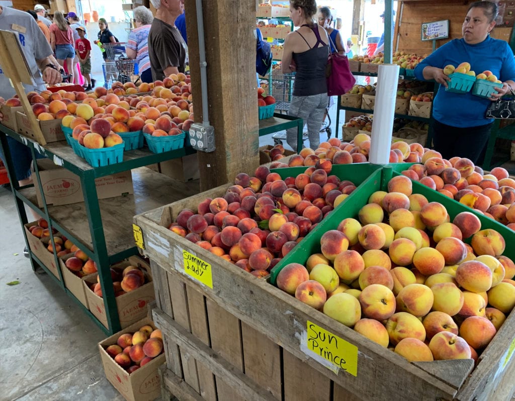 Additional Varieties of Peaches for Sale